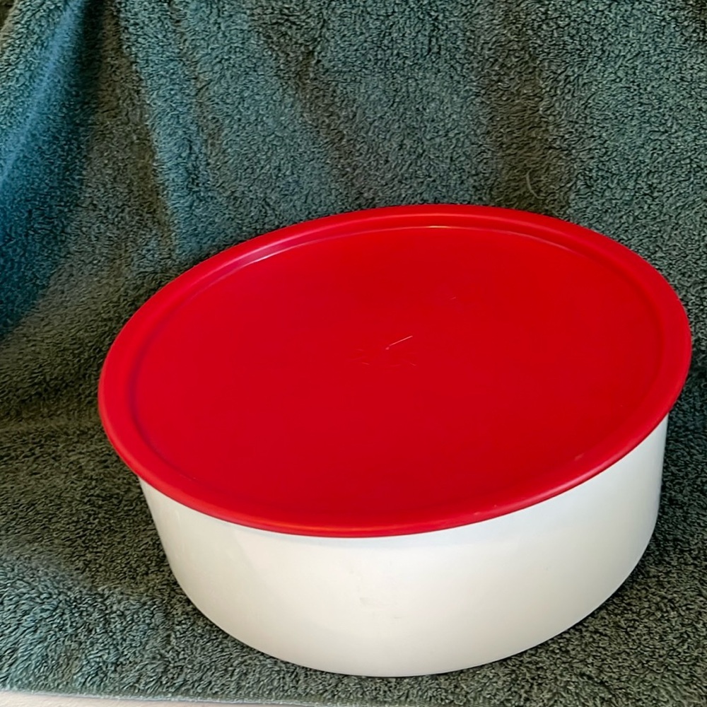 Tupperware Cookie Container